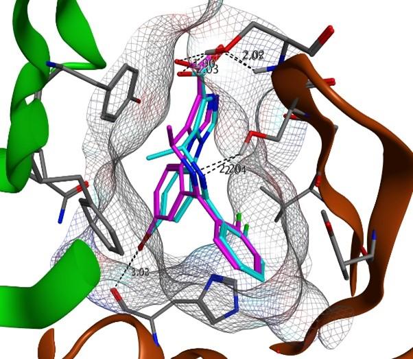 Figure 1. R and S configuration of MIDD0301 bound to the α1+/γ2− interface of the GABAA receptor.