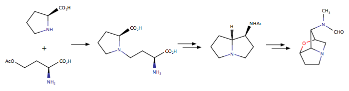 The Art of Writing Reasonable Organic Reaction Mechanisms