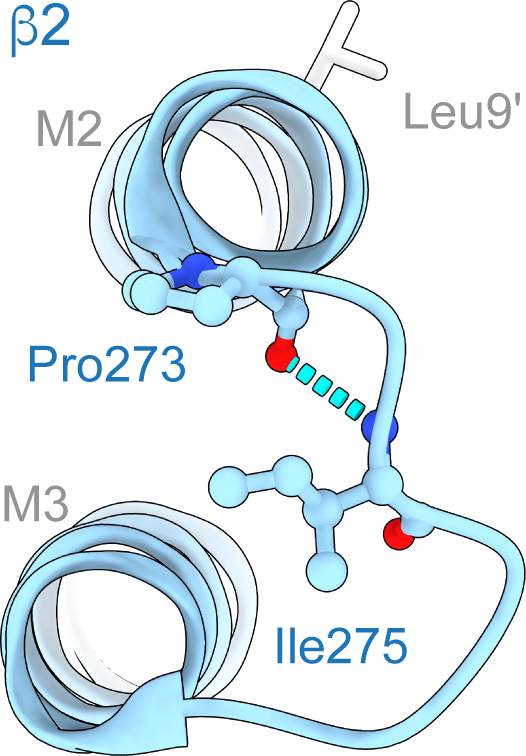 Representation of H-bond