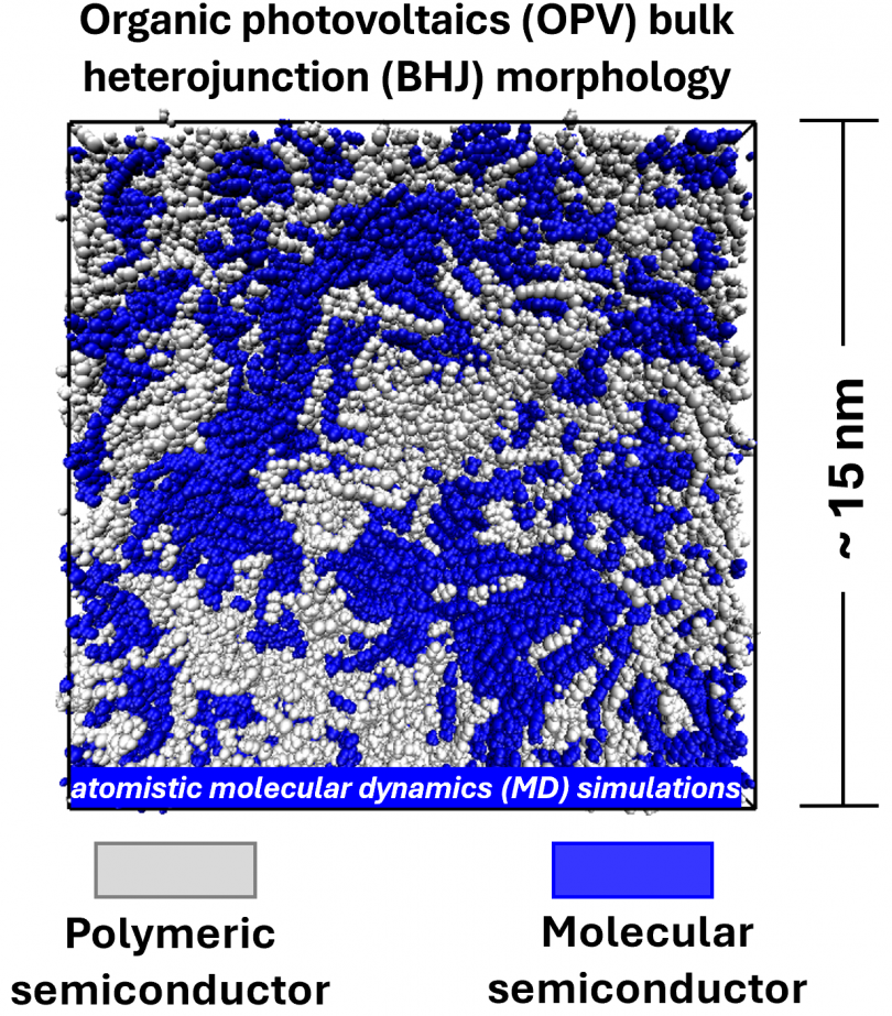 Here is a shorter version: **Alt text:** A nanoscale simulation of an organic photovoltaic bulk heterojunction showing gray polymeric semiconductor and blue molecular semiconductor domains mixed within a 15 nm box.